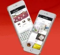网站开发、APP开发、小程序开发、公众号开发、互联网平台开发